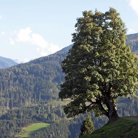 Flat In Near Slopes *